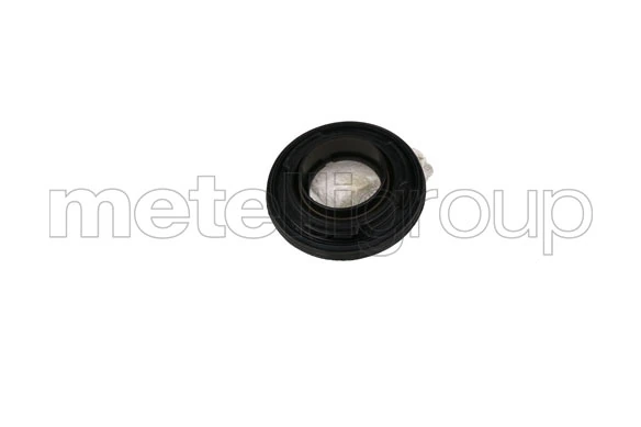 METELLI Oilseal4