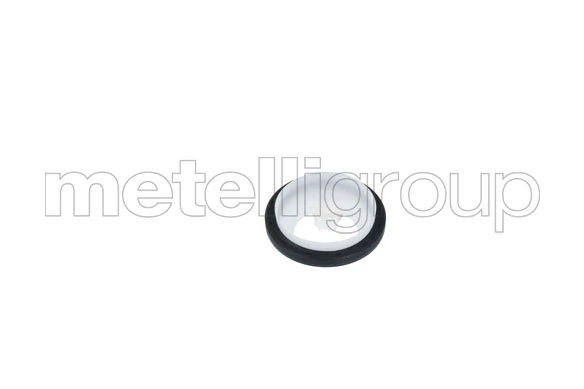 METELLI Oilseal1