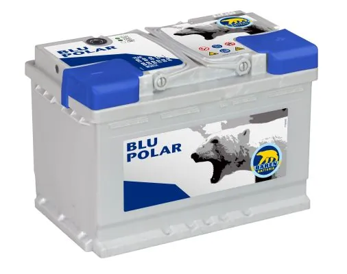 Bären L0 44P