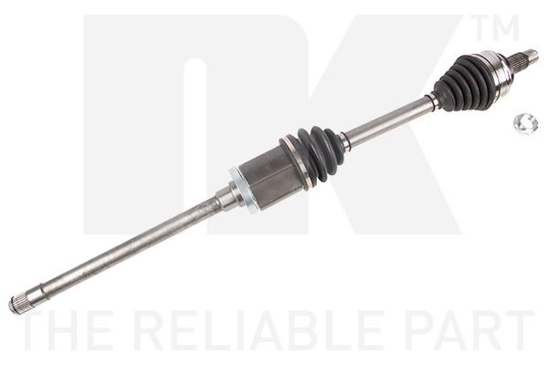 NK 501539