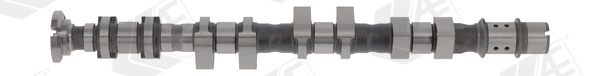 AE CAM1013
