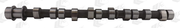 AE CAM734