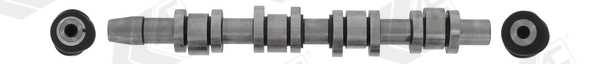 AE CAM1009