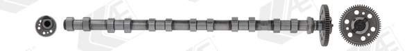 AE CAM1017