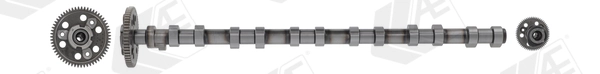 AE CAM1016