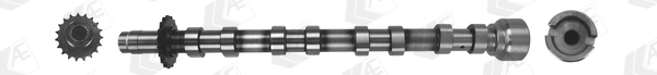 AE CAM1019