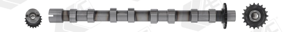 AE CAM1018