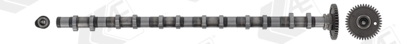 AE CAM1021