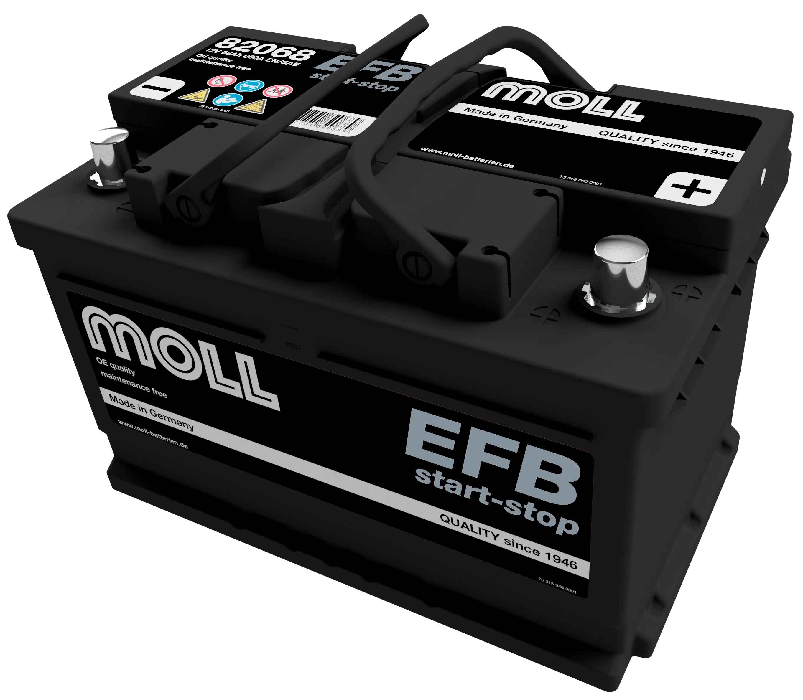 MOLL 82068