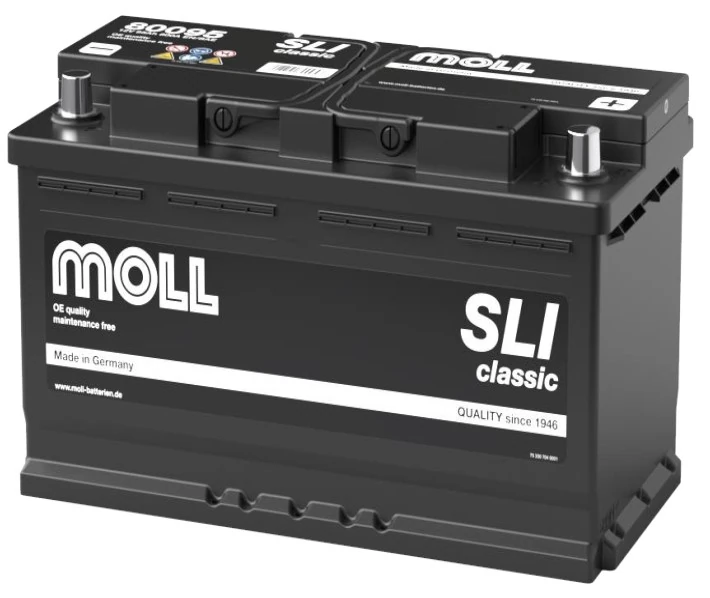 MOLL 80095