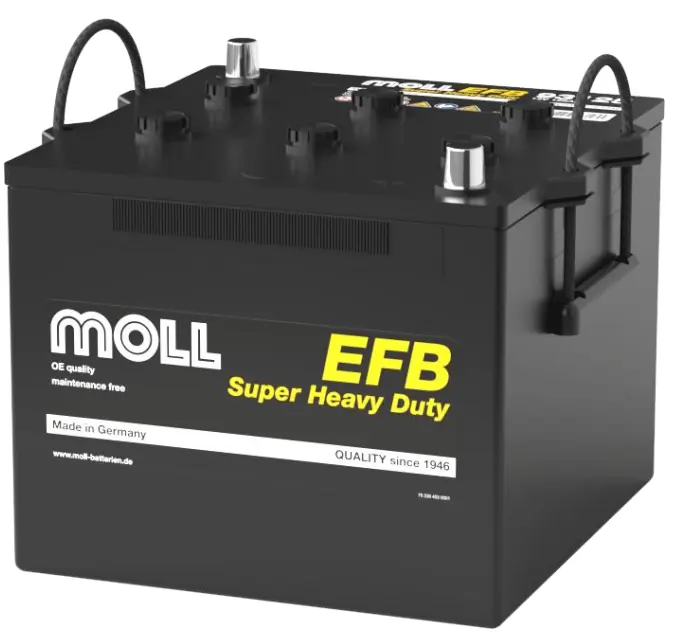 MOLL 93125