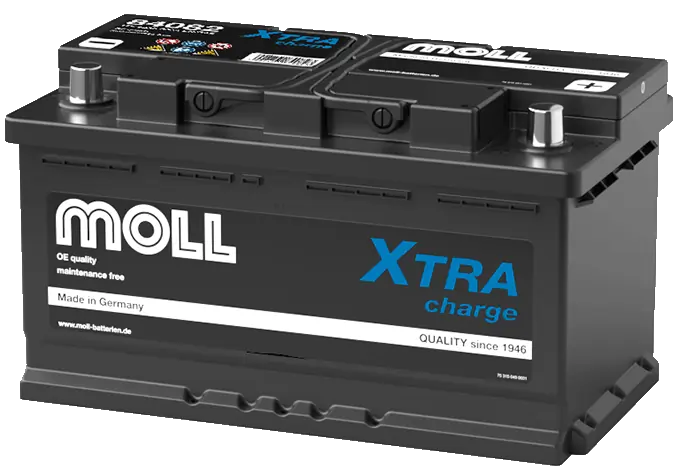 MOLL 84082