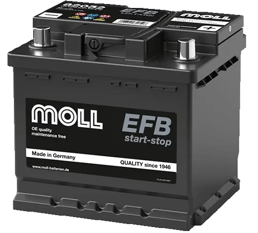 MOLL 82052