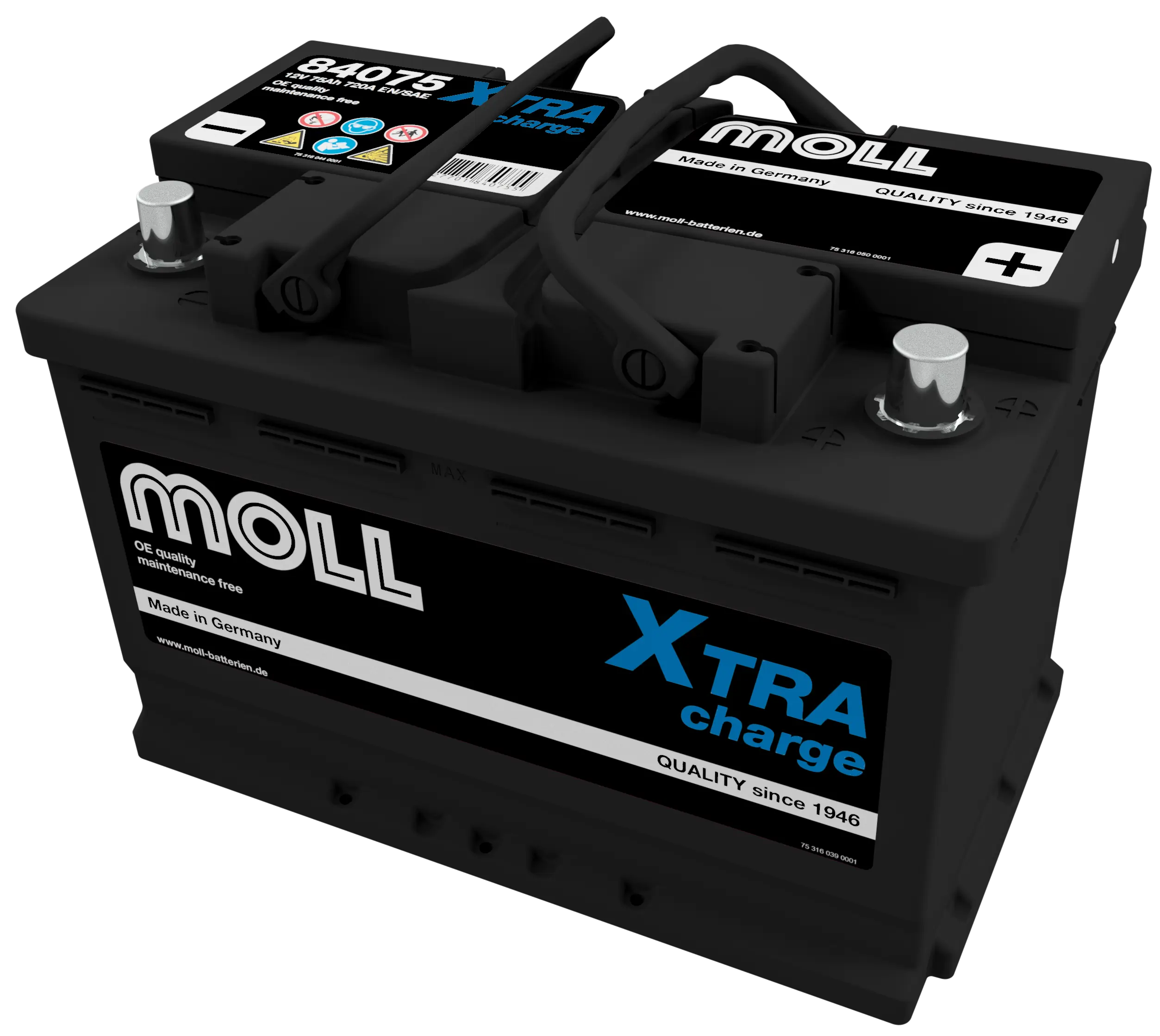 MOLL 84075