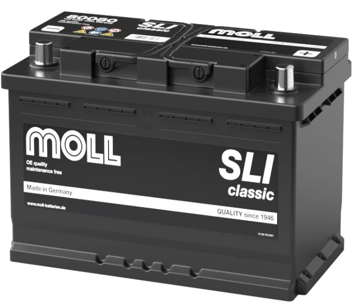 MOLL 80080