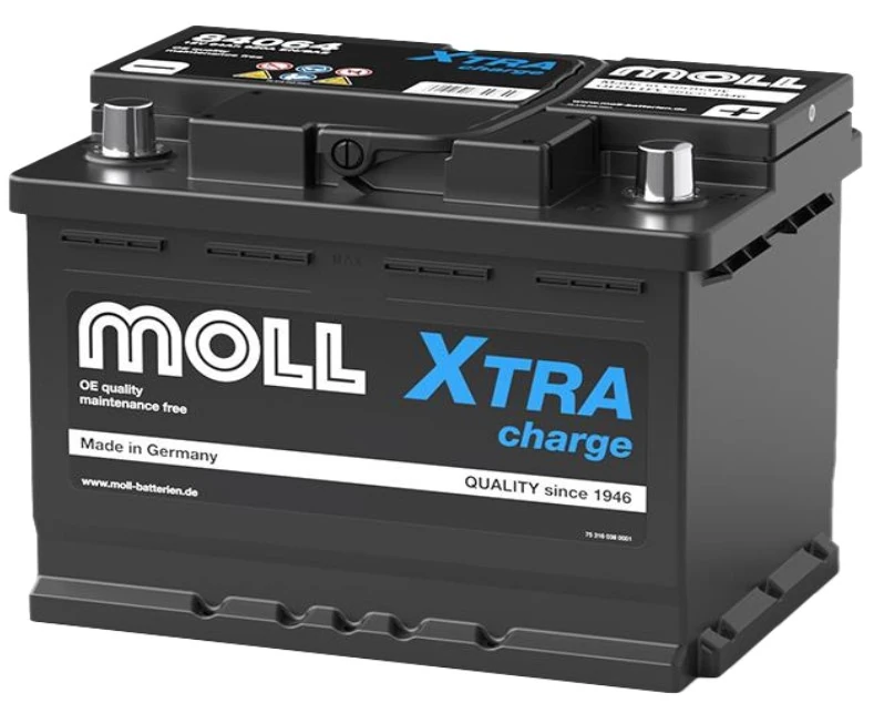 MOLL 84064