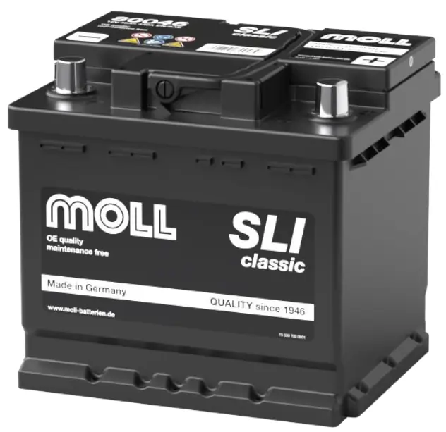 MOLL 80046