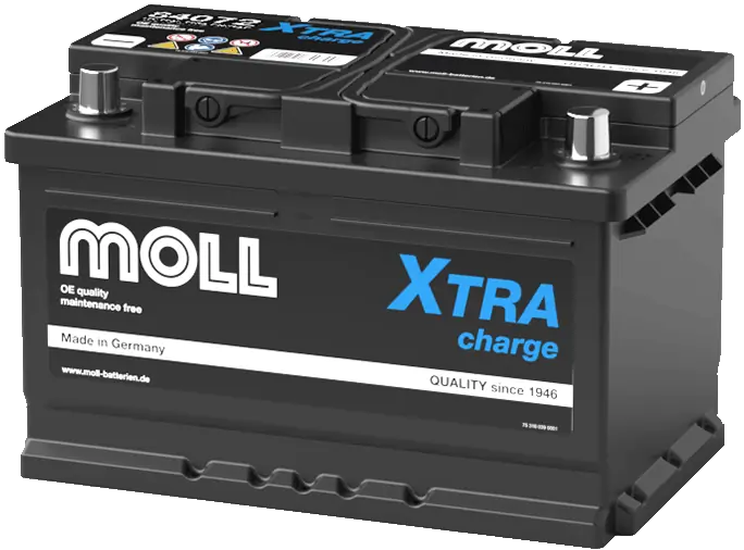 MOLL 84072