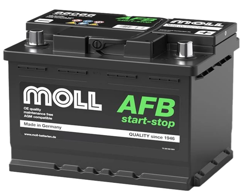 MOLL 86066
