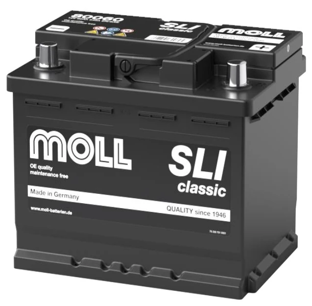 MOLL 80060