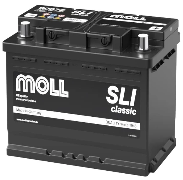 MOLL 80072