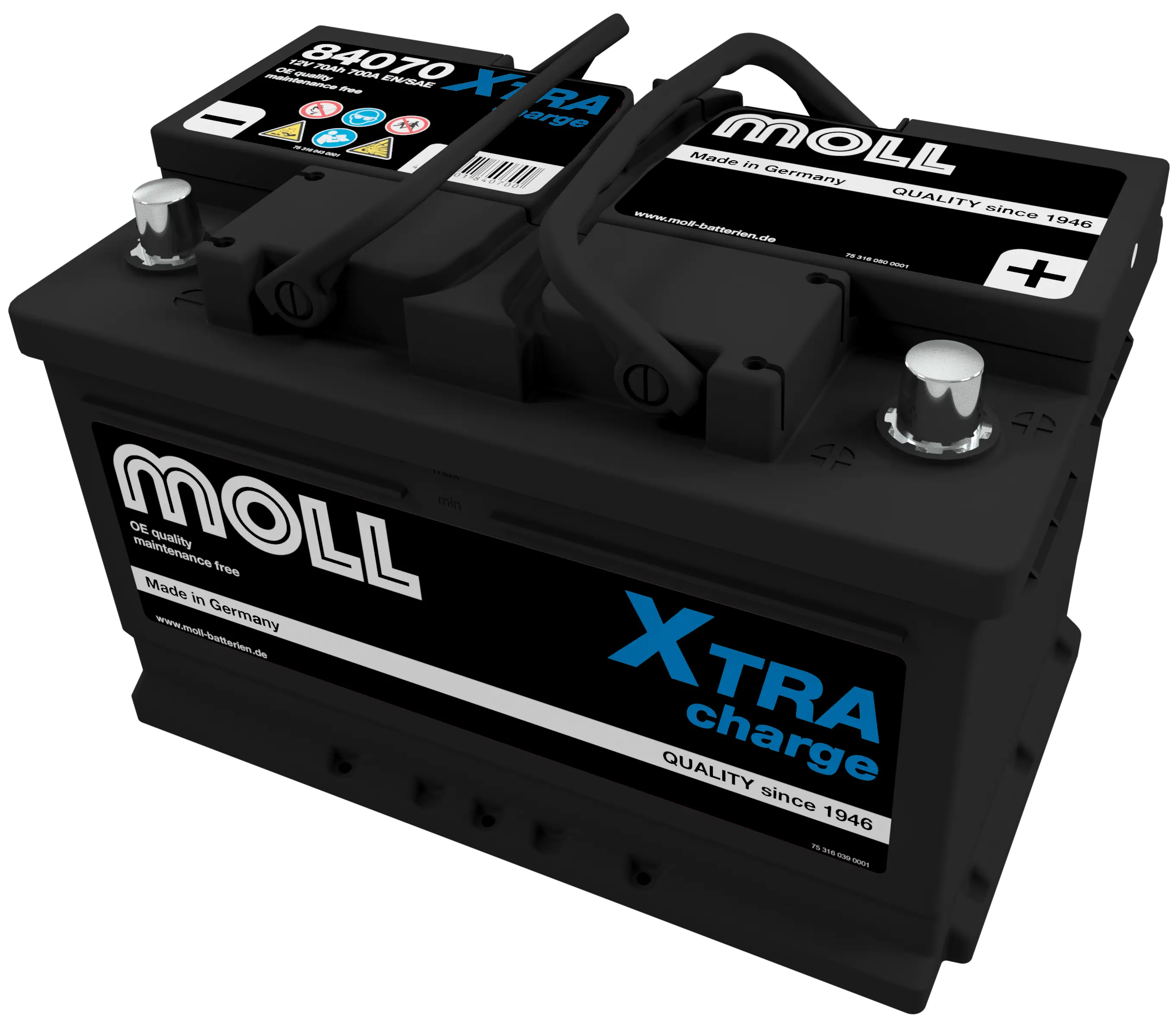 MOLL 84070