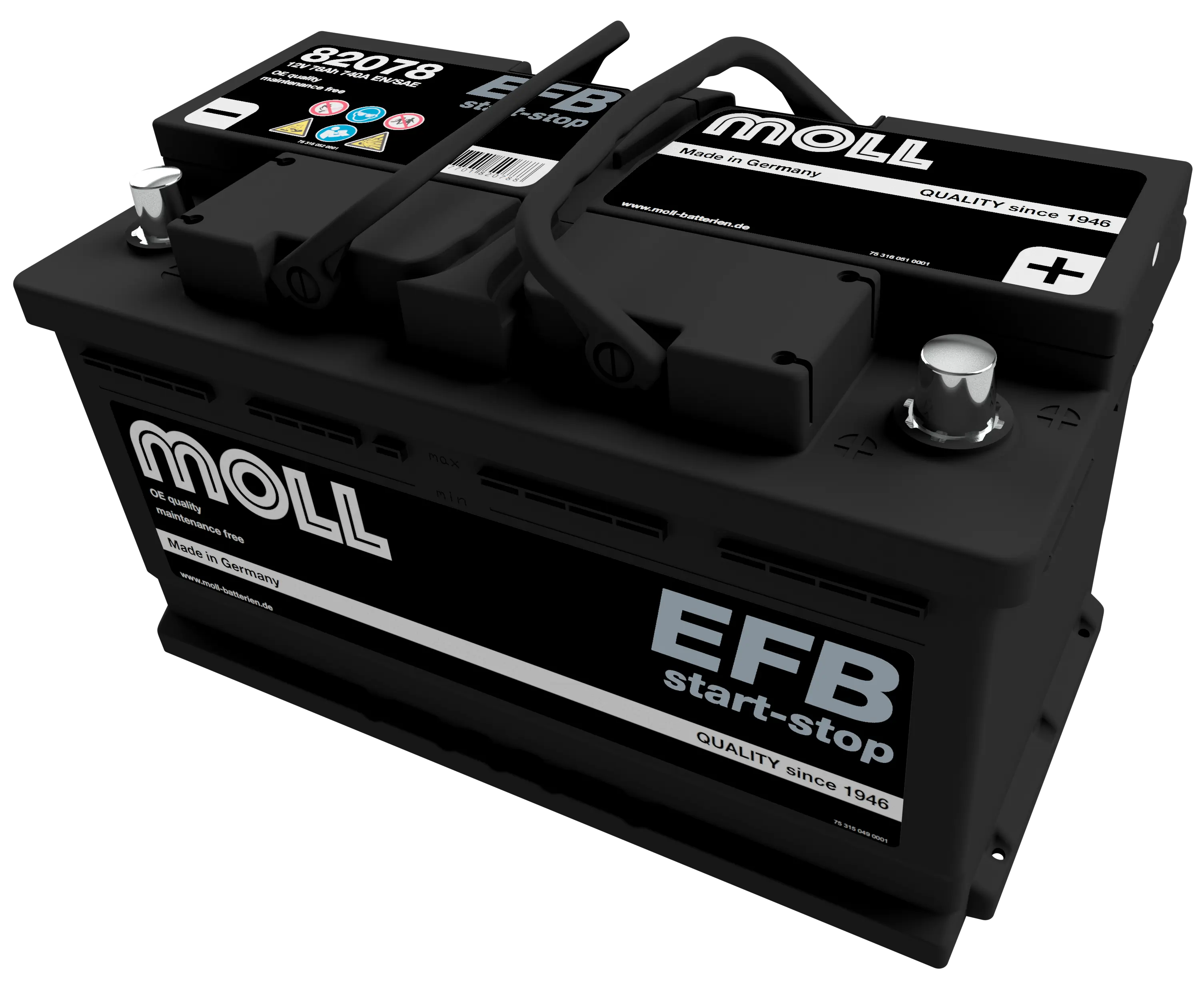 MOLL 82078