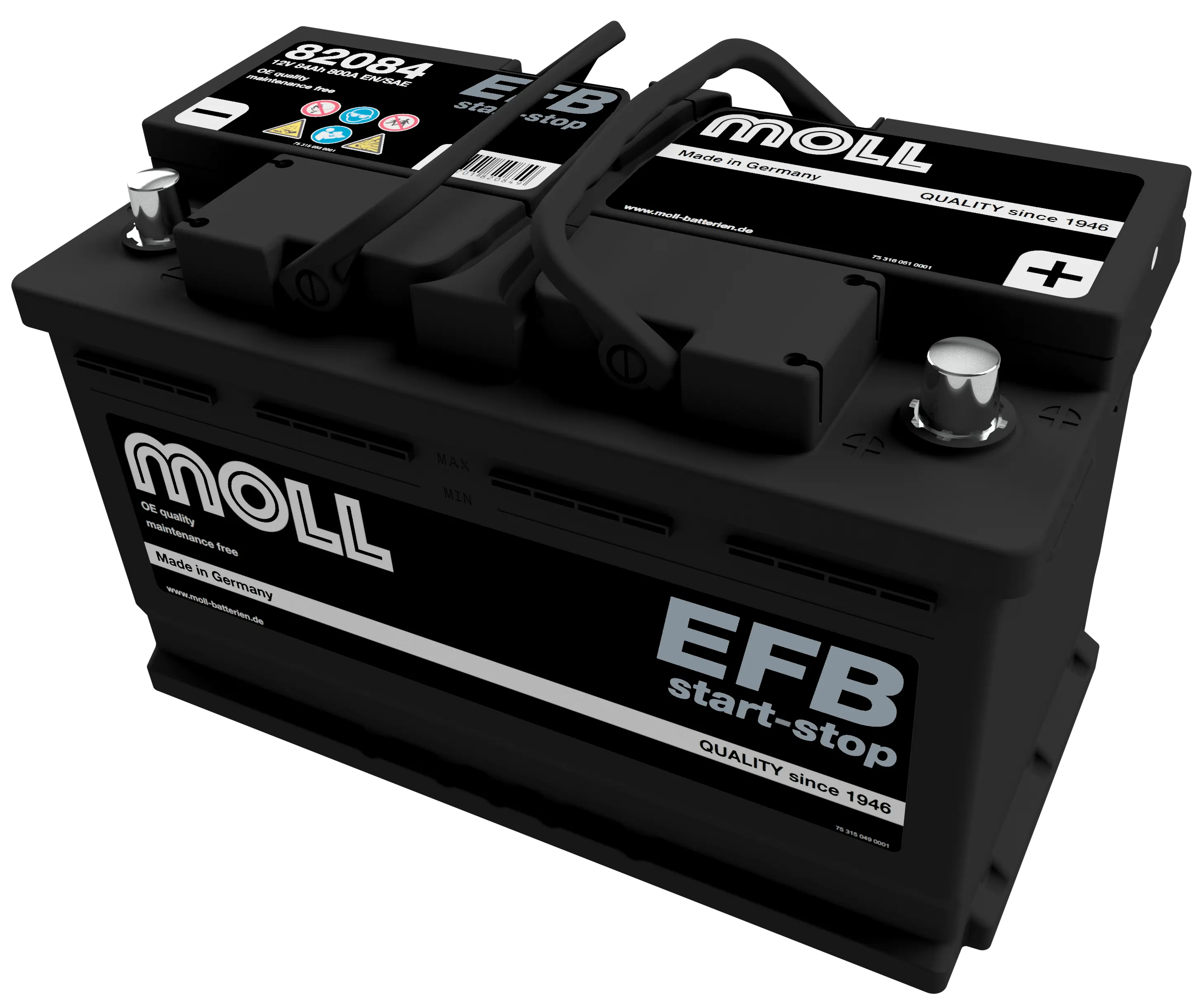 MOLL 82084