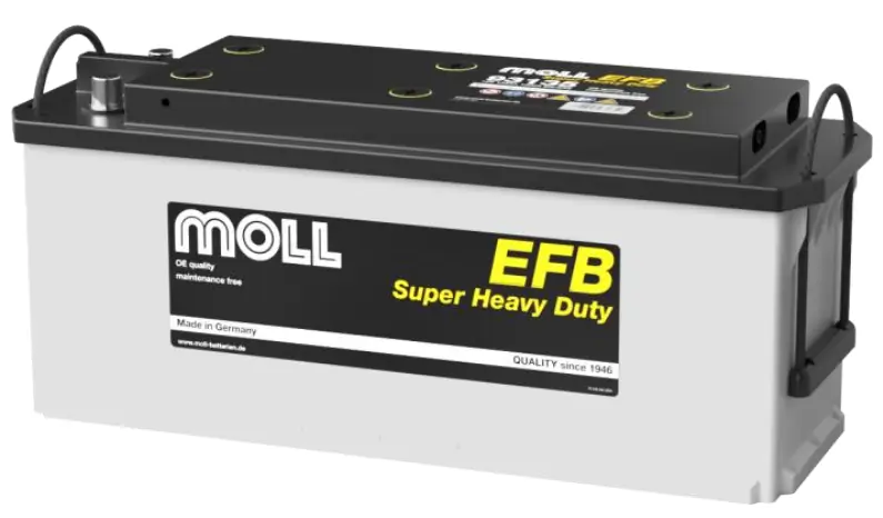 MOLL 93135