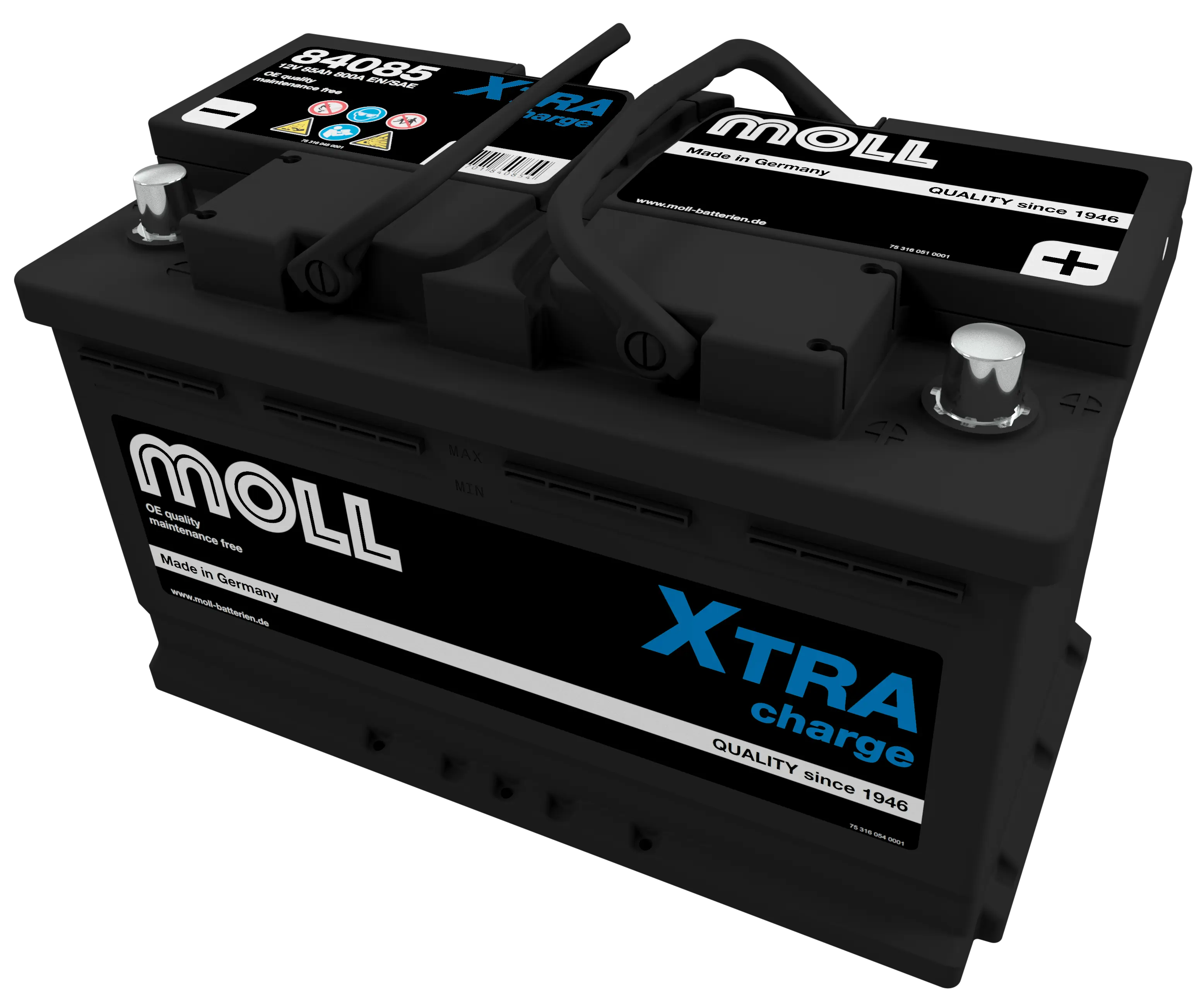 MOLL 84085