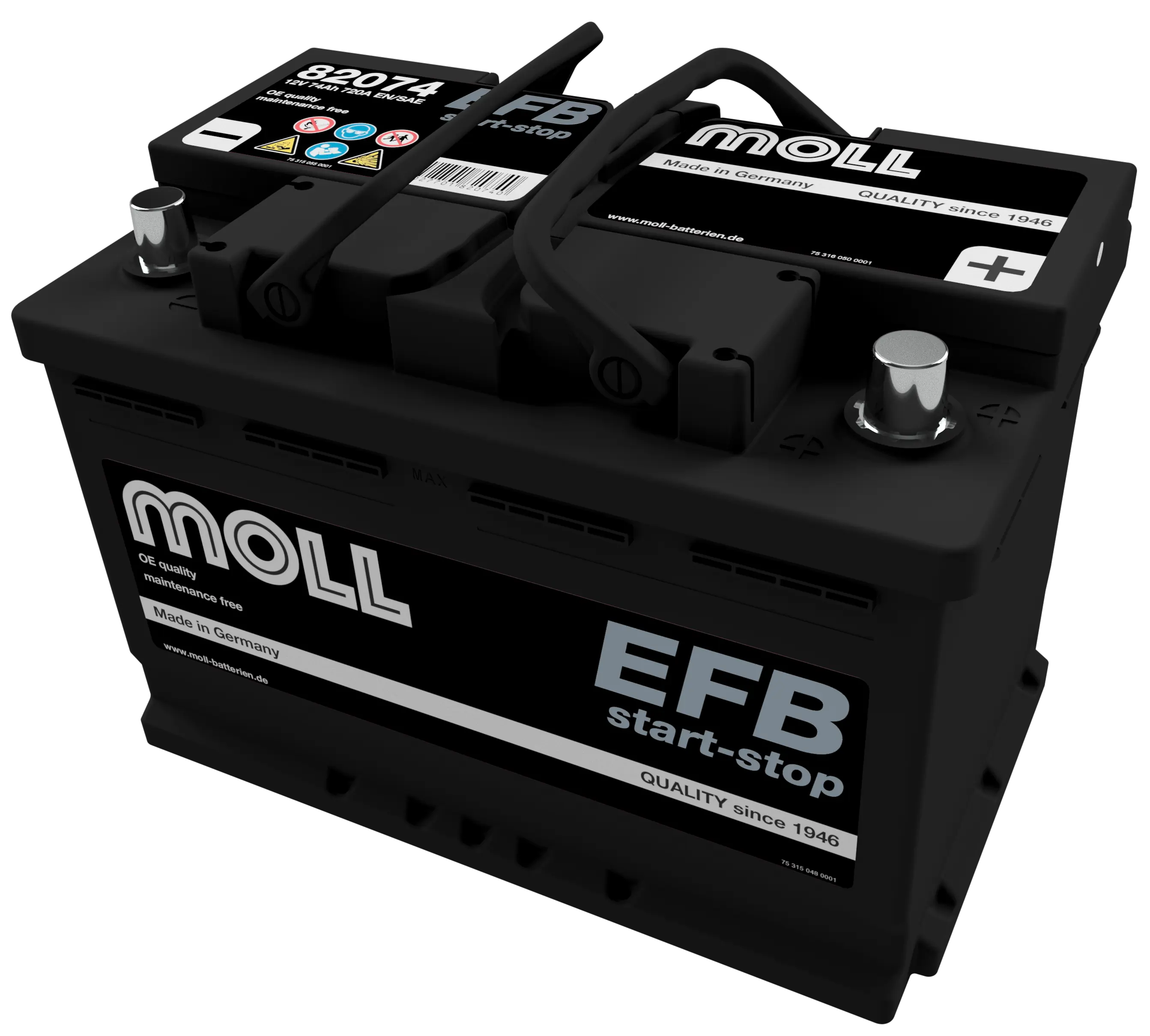 MOLL 82074