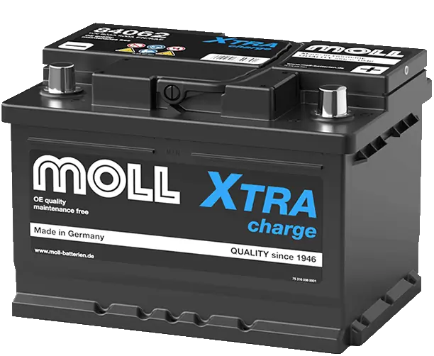 MOLL 84062