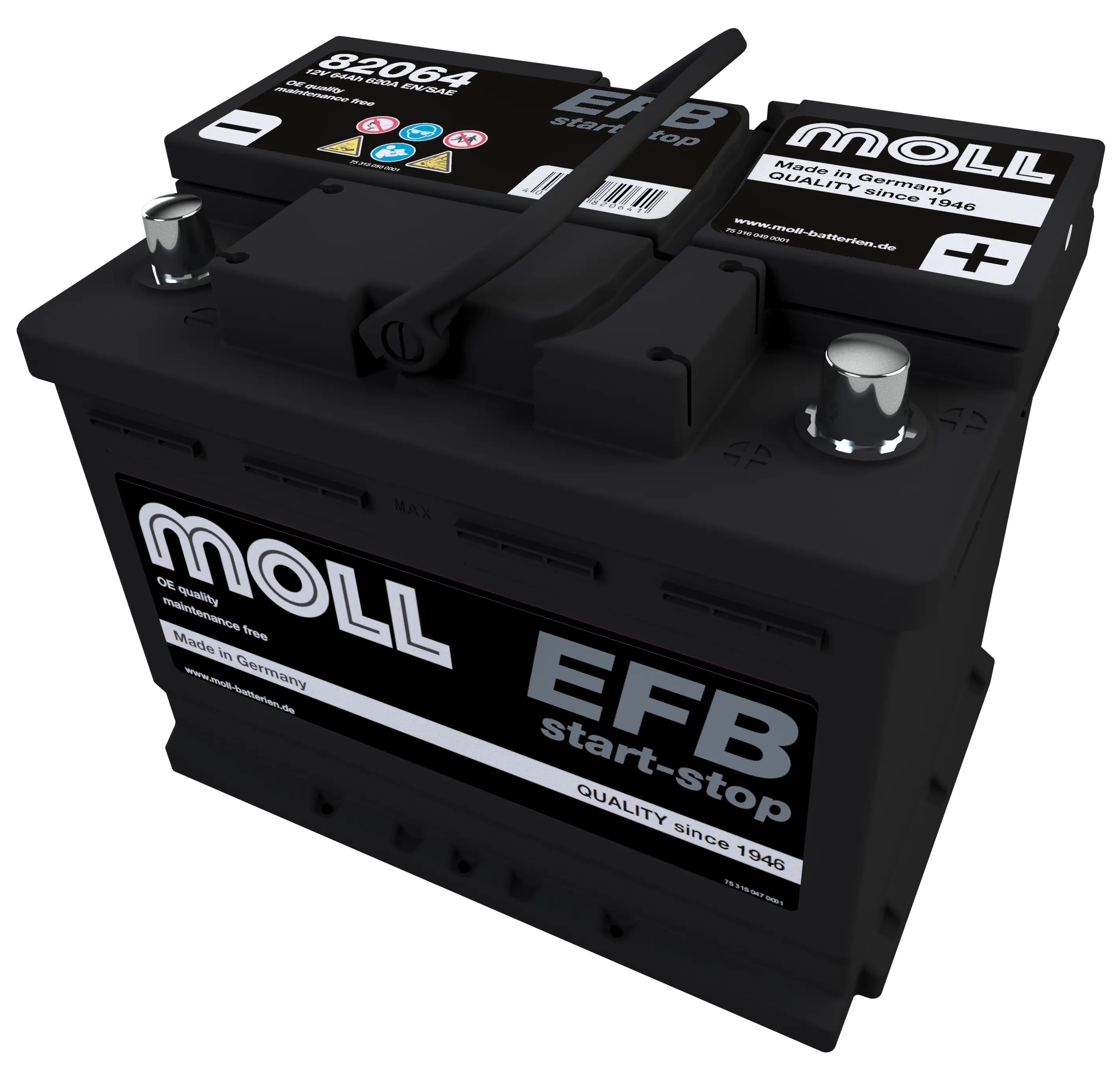 MOLL 82064