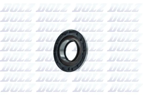 DOLZ 02KCS013