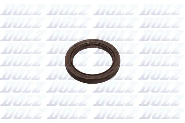 DOLZ 02KCS031