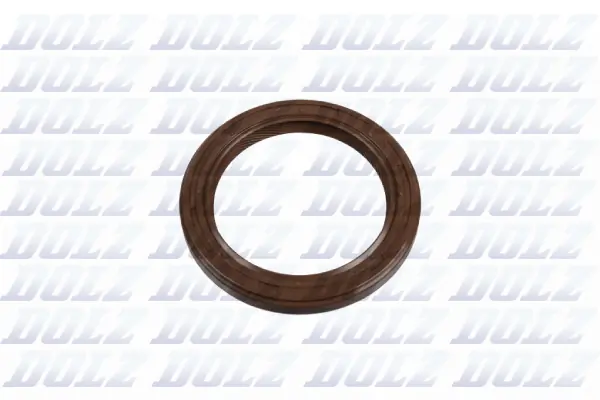 DOLZ 02KCS018