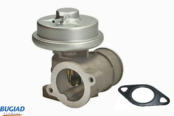 BUGIAD BGR13063
