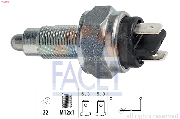 FACET 7.6019