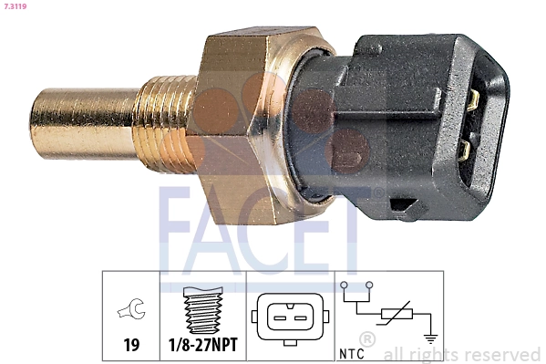 FACET 7.3119