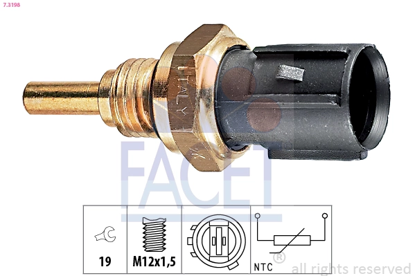 FACET 7.3198