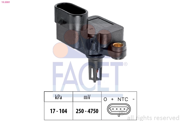 FACET 10.3081