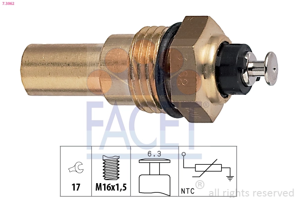 FACET 7.3062