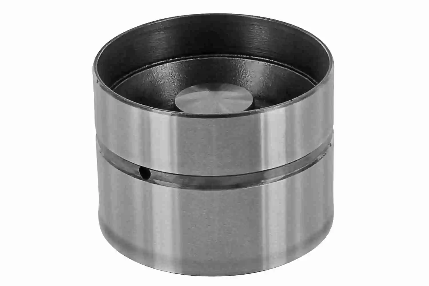 VAICO V10-0161-1