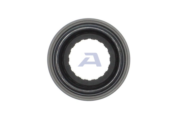 AISIN BK-002
