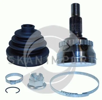 SKANIMPORT AG 0489
