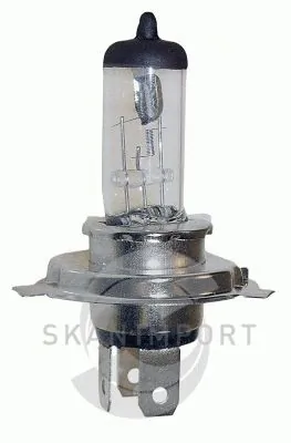 SKANIMPORT GL H4