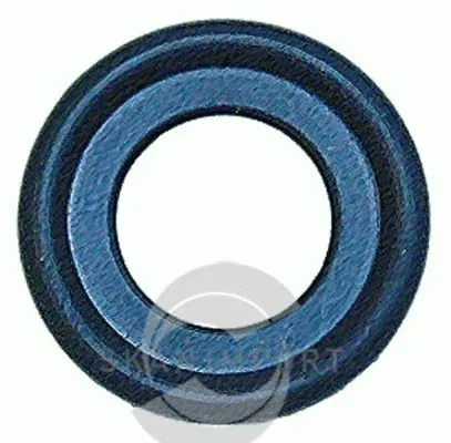 SKANIMPORT CDR 6966