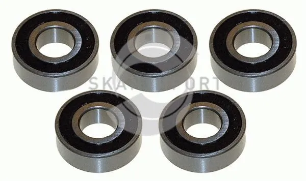 SKANIMPORT 6202 2RS