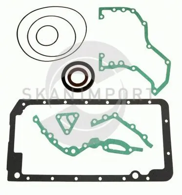 SKANIMPORT CS 490-50-1