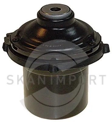 SKANIMPORT 099.8618